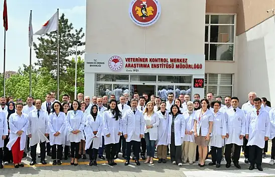 Kastamonu, Hayvan Sağlığında Ülke Genelinde Hizmet Veriyor