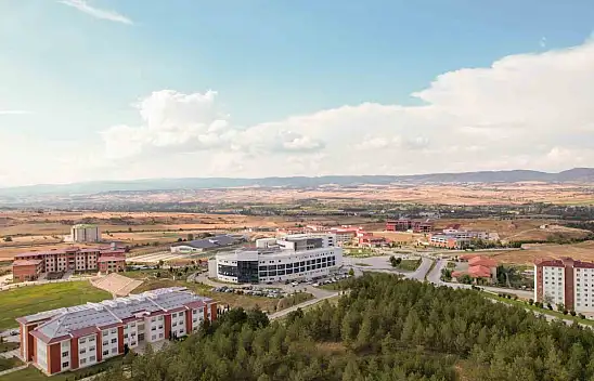 Kastamonu Üniversitesi'nin Dezenfektan Patenti Tescillendi