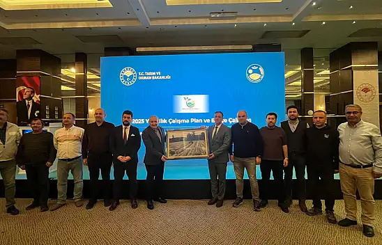 Kastamonu'ya 'En Çok Hane Halkına Ulaşan İl' Ödülü