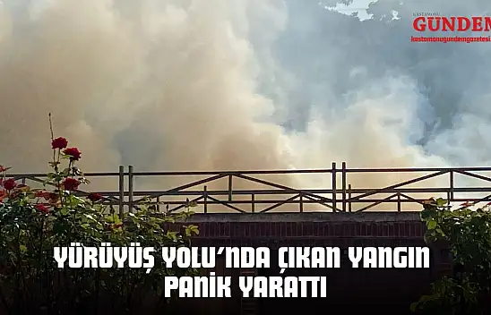 Kastamonu Yürüyüş Yolu'nda Çıkan Yangın Panik Yarattı