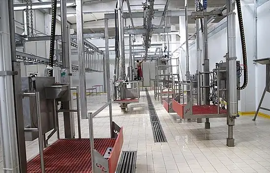 Kesimhanelere Kamera Zorunluluğu Getiriliyor