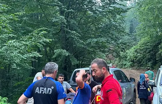Kestiği Ağacı Damgalarken Uçuruma Düştü