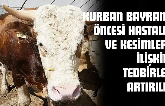 Kurban Bayramı Öncesi Hastalık Ve Kesimlere İlişkin Tedbirler Artırıldı