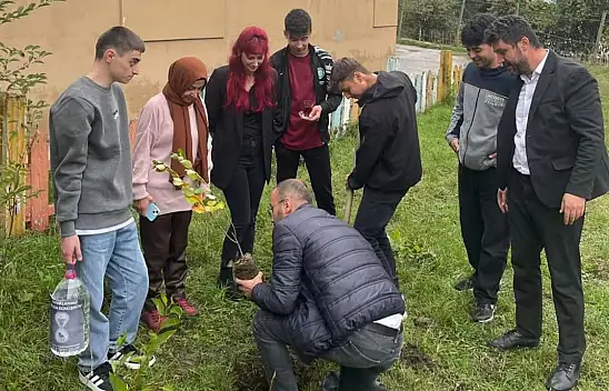 Küre'de Öğrencilerden Fidan Dikimi