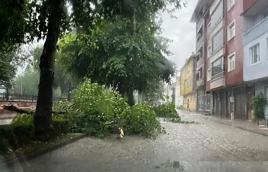 Kuvvetli Yağış O İlçeleri Zorladı