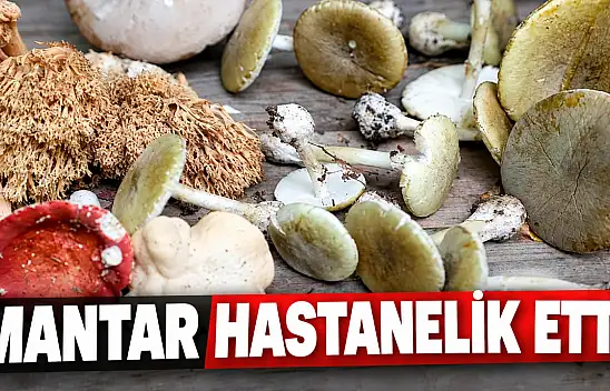 Mantar Hastanelik Etti