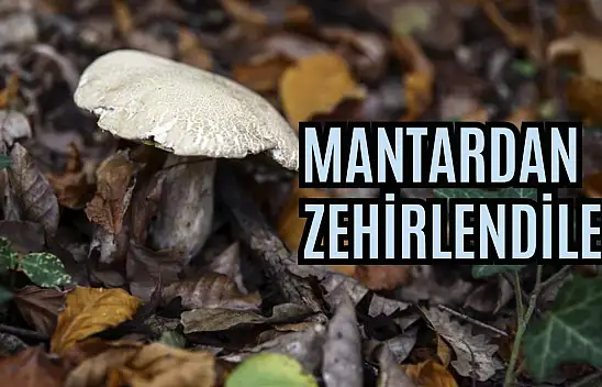 Mantardan Zehirlendiler