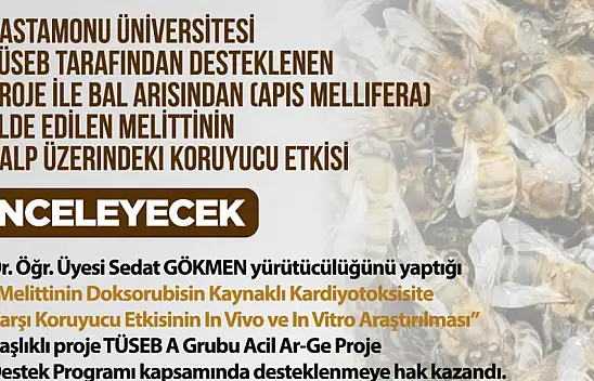 Melittinin Kalp Üzerindeki Koruyucu Etkisi İncelenecek