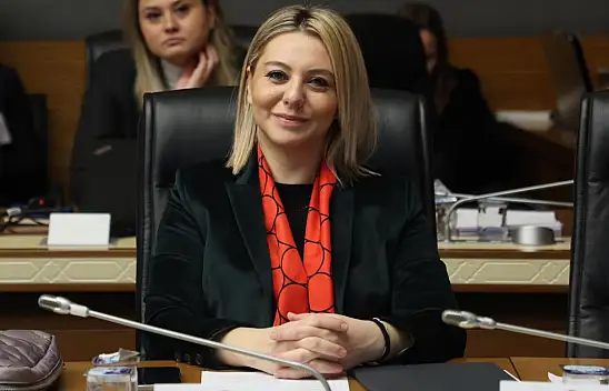 Milletvekili Serap Ekmekci, TBMM'de O Toplantıya Katıldı