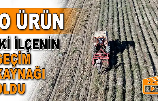 O Ürün İki İlçenin Geçim Kaynağı Oldu
