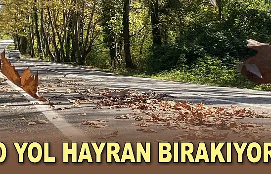 O Yol Hayran Bırakıyor