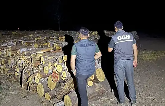Orman Denetimlerine Devam Ediyor