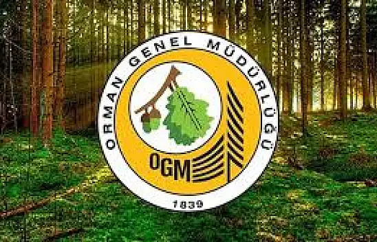 Orman Genel Müdürlüğü 496 Sözleşmeli Personel Alacak
