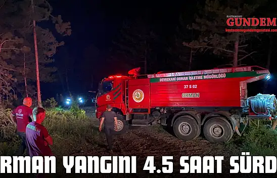 Orman Yangını 4.5 Saat Sürdü