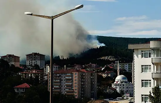 Orman Yangını Söndürüldü