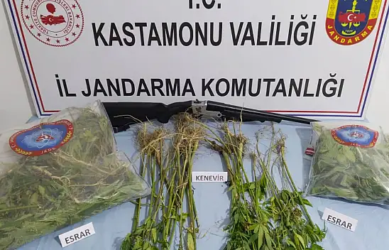 Ormana Kenevir Ekmişler