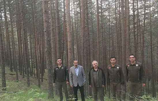 Ormanlar Arasındaki Farkı Gördüler