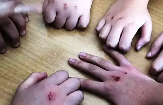 ÖZGÜDER'den velilere önemli uyarı!