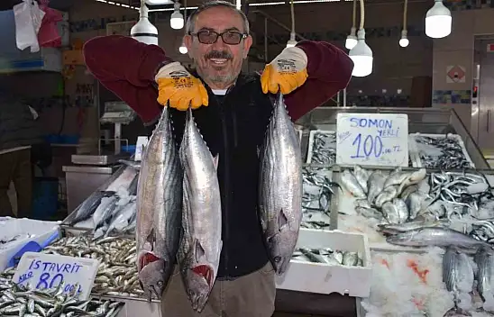 3 ve 5 Kilogram Arası Torikler 500 TL