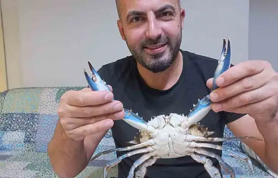 Mavi Yengeç Ağa Takıldı