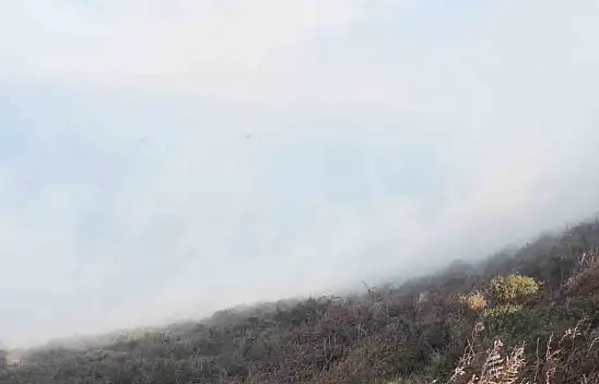 Sinop'ta Ot Yangını
