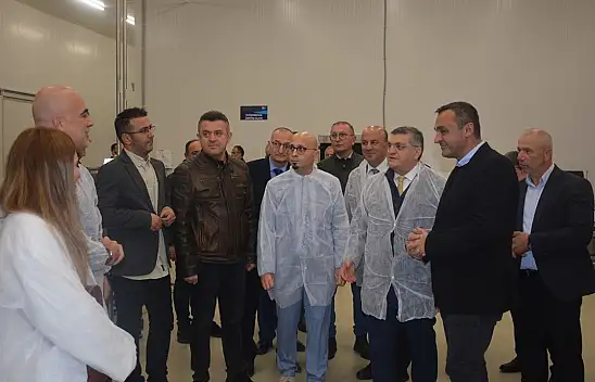 Sinop'ta Temel Sektörlerin Rekabetçiliğinin Artırılması Projesi