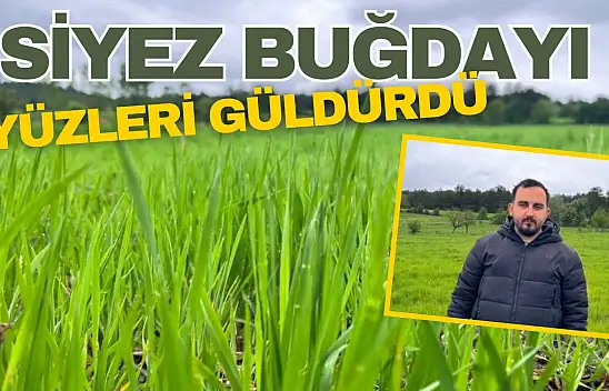 Siyez Buğdayı Yüzleri Güldürdü