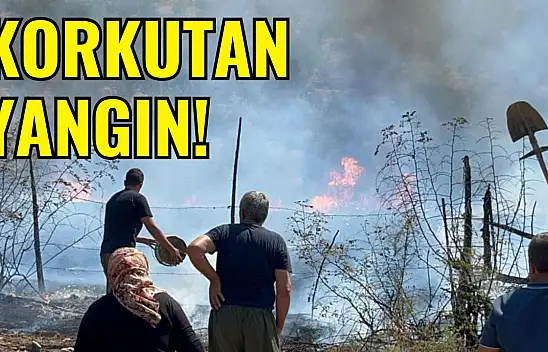 Tarım Arazisinde Korkutan Yangın