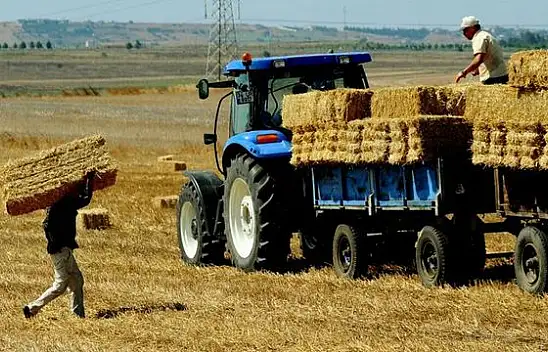 Tarım-GFE yüzde 0,63 arttı