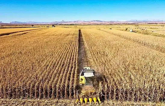 Tarım-ÜFE Yüzde 3,45 Azaldı