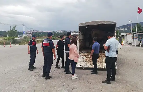 Tarım, yol kontrollerini sıklaştırdı
