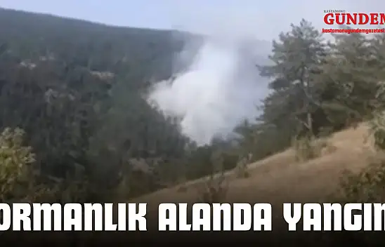 Taşköprü'de Orman Yangını