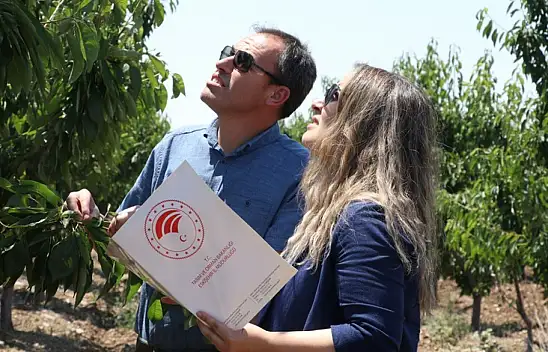 TBMM Zirai Don Olayını Araştırma Komisyonu Taslak Raporunu Tamamladı