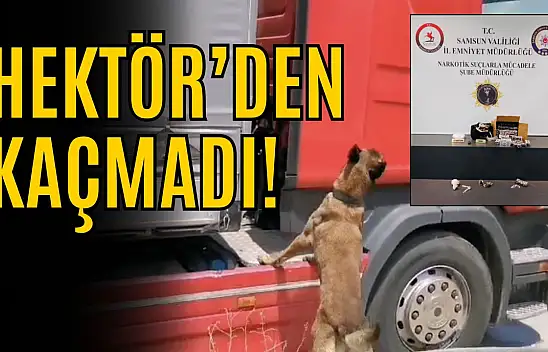 TIR'a Saklanan Uyuşturucu Hektör'den Kaçmadı!