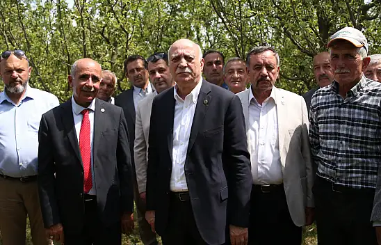 TZOB Genel Başkanı Bayraktar, Kastamonu'da Dondan Etkilenen Tarım Arazilerini Gezdi