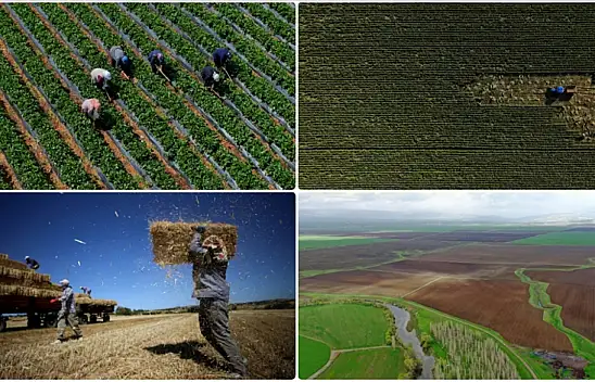 Üretimde Azalış Bekleniyor