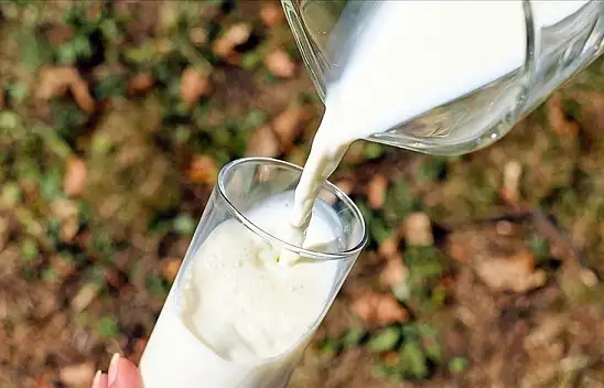 USK, Çiğ Süt Tavsiye Fiyatını Belirledi