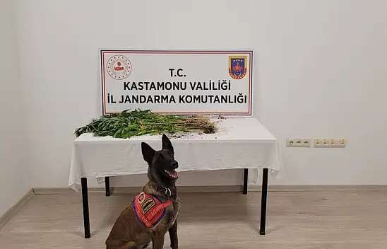 Uyuşturucu operasyonu: 3 gözaltı