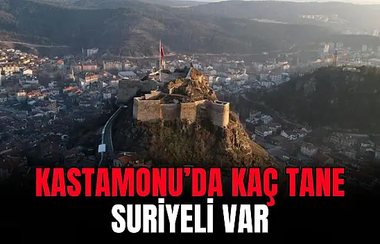 Veriler Güncellendi, İşte Kastamonu'daki Suriyeli Sayısı