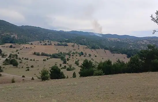 Yangın Kontrol Altına Alındı