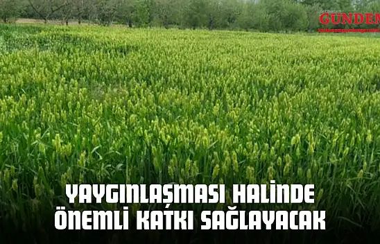 Yaygınlaşması Halinde Önemli Katkı Sağlayacak