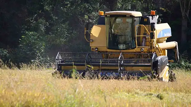 'Beyaz altın' çeltikte hasat başladı, üreticinin gözü fiyatta