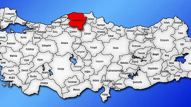 736 bin 548 Kastamonulu dışarıda