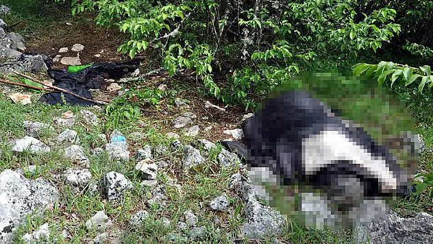 22 gün sonra ölü bulundu