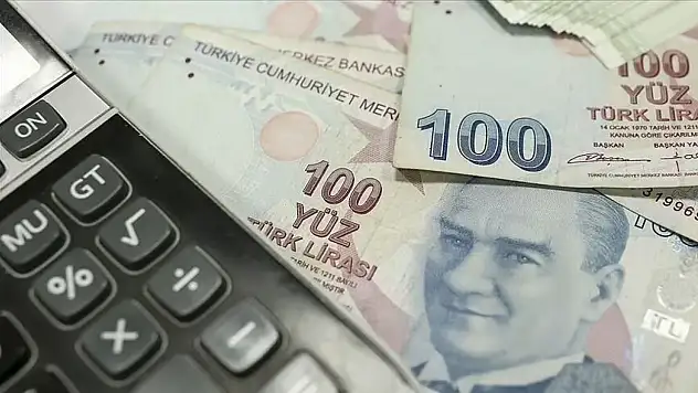 1 Milyon 175 Bin 601 Annenin Hesabına Ödemeler Yatırıldı