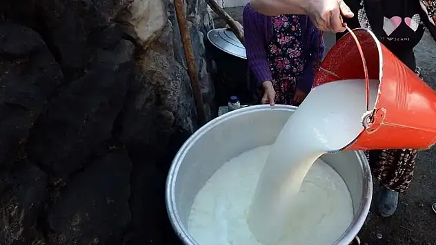 1 Milyon 22 Bin 587 Ton İnek Sütü Toplandı