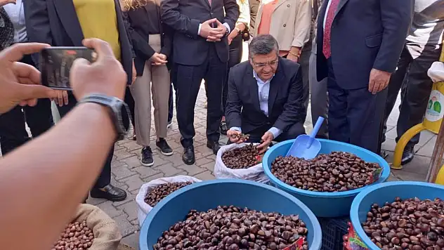 1 ton kestane tüketildi