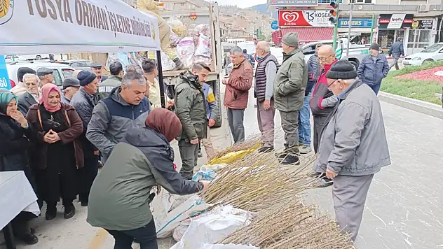15 Bin Adet Fidan Dağıtıldı