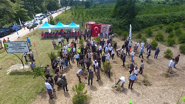 15 temmuz şehitleri anısına 251 fidan dikildi