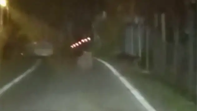 2 Ayı Cep Telefonuyla Görüntülendi